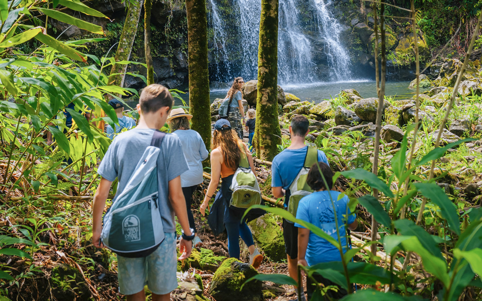 Guests hiking through lush forest near waterfall on Hakalau Forest Birdwatching Adventure.