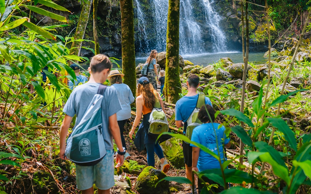 Guests hiking through lush forest near waterfall on Hakalau Forest Birdwatching Adventure.