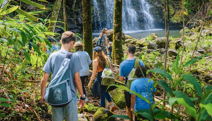 Guests hiking through lush forest near waterfall on Hakalau Forest Birdwatching Adventure.