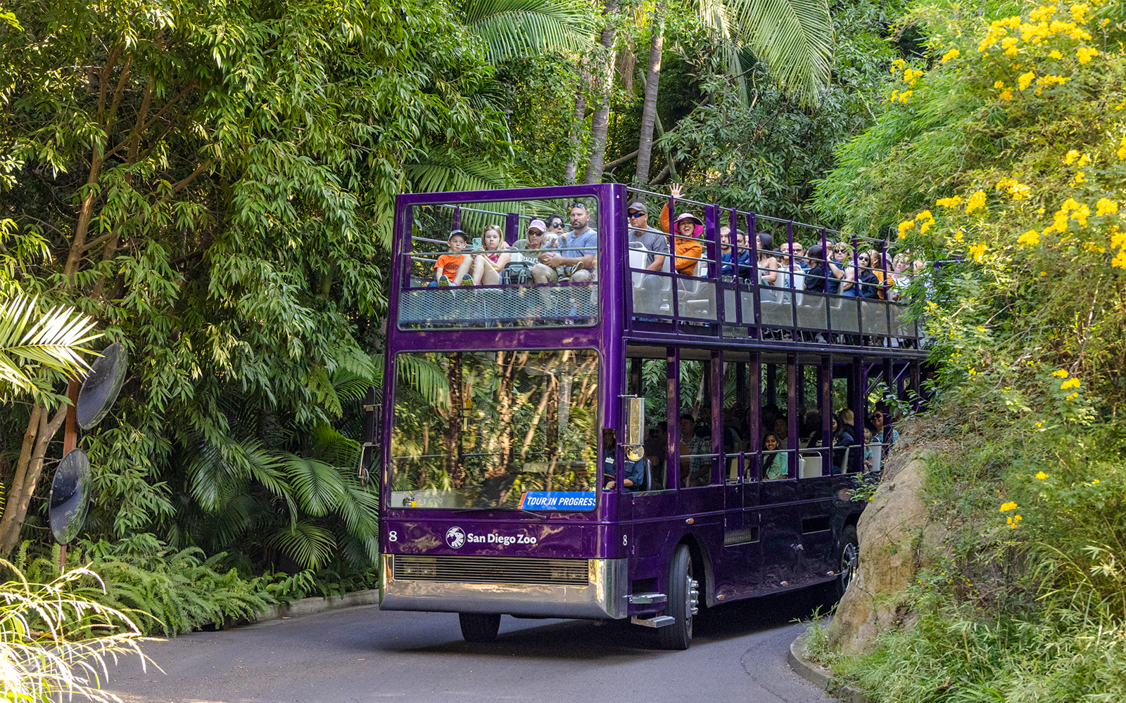 Guided bus tour at San Diego Zoo Safari Park with visitors on a double-decker bus.
