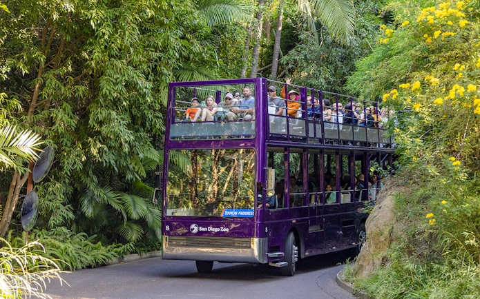 Guided bus tour at San Diego Zoo Safari Park with visitors on a double-decker bus.