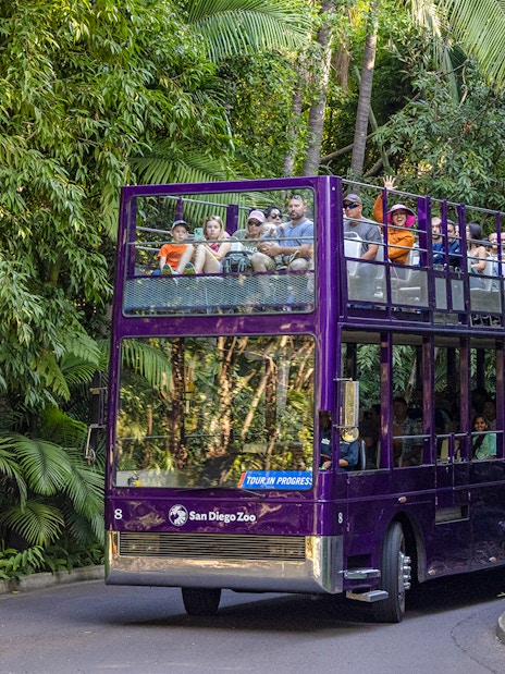 Guided bus tour at San Diego Zoo Safari Park with visitors on a double-decker bus.