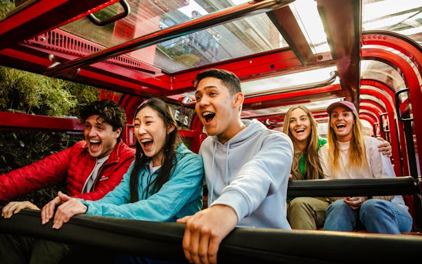 Tourists enjoying a scenic railway ride in the Blue Mountains.