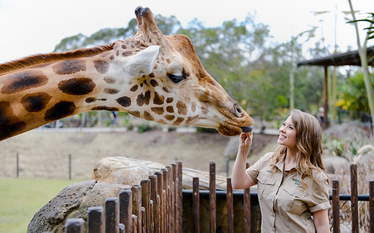 Irwin family member with giraffe at Australia Zoo.