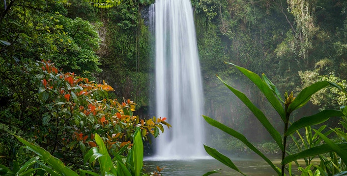 Atherton Tableland Tickets