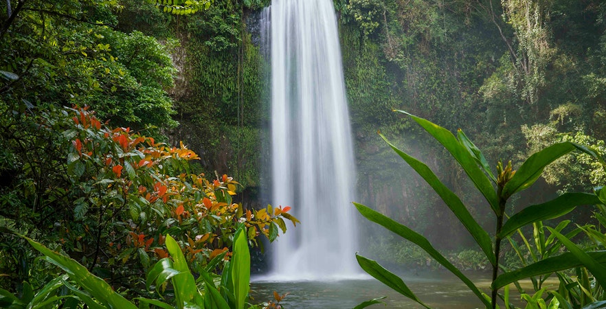 Atherton Tableland Tickets