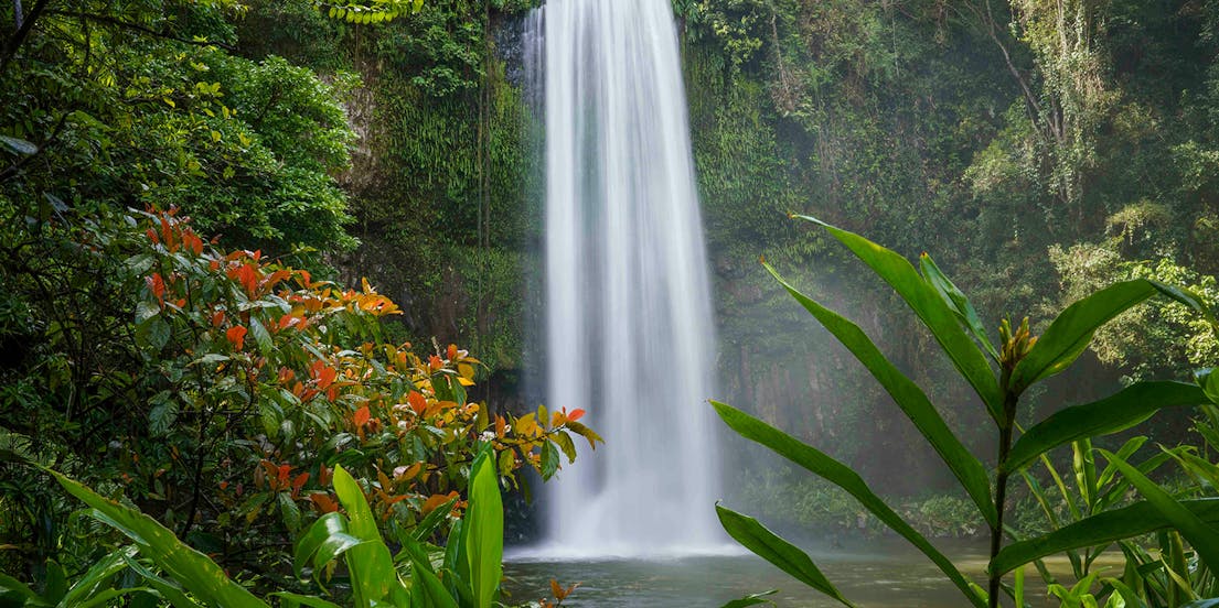Atherton Tableland Tickets