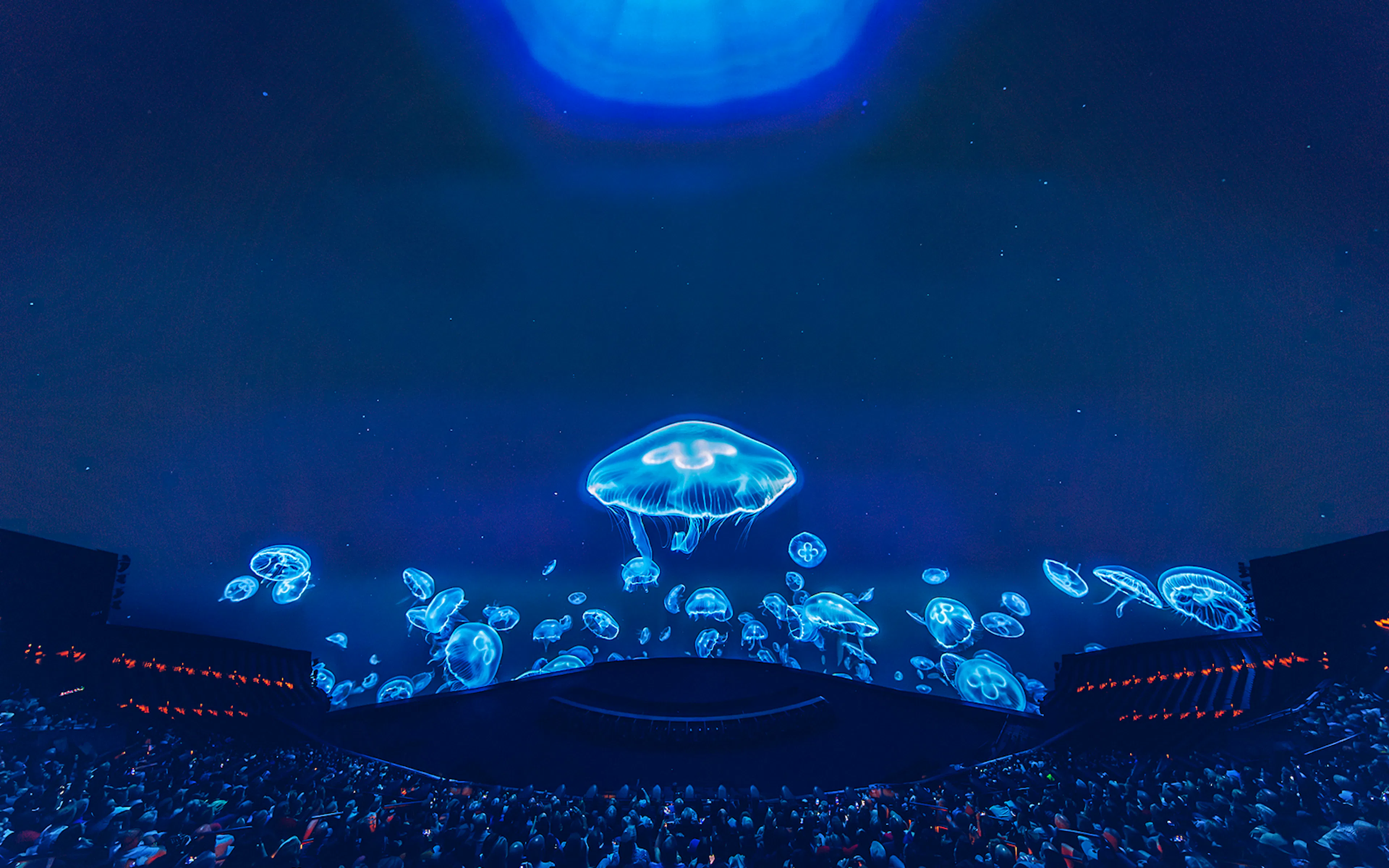 Step into another world
