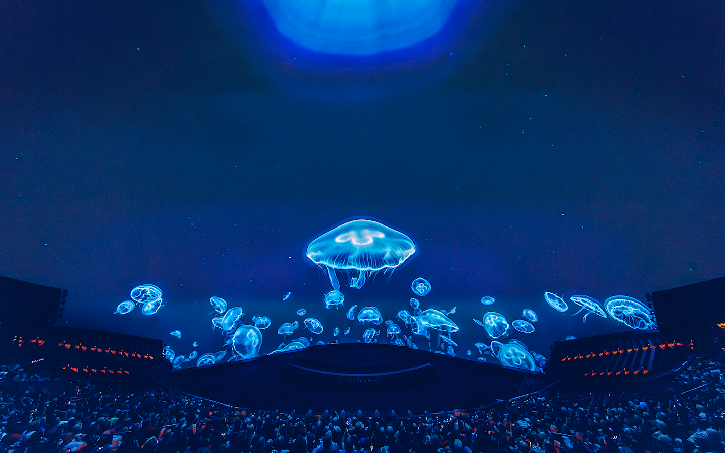 The Sphere Experience Postcard from Earth | Las Vegas