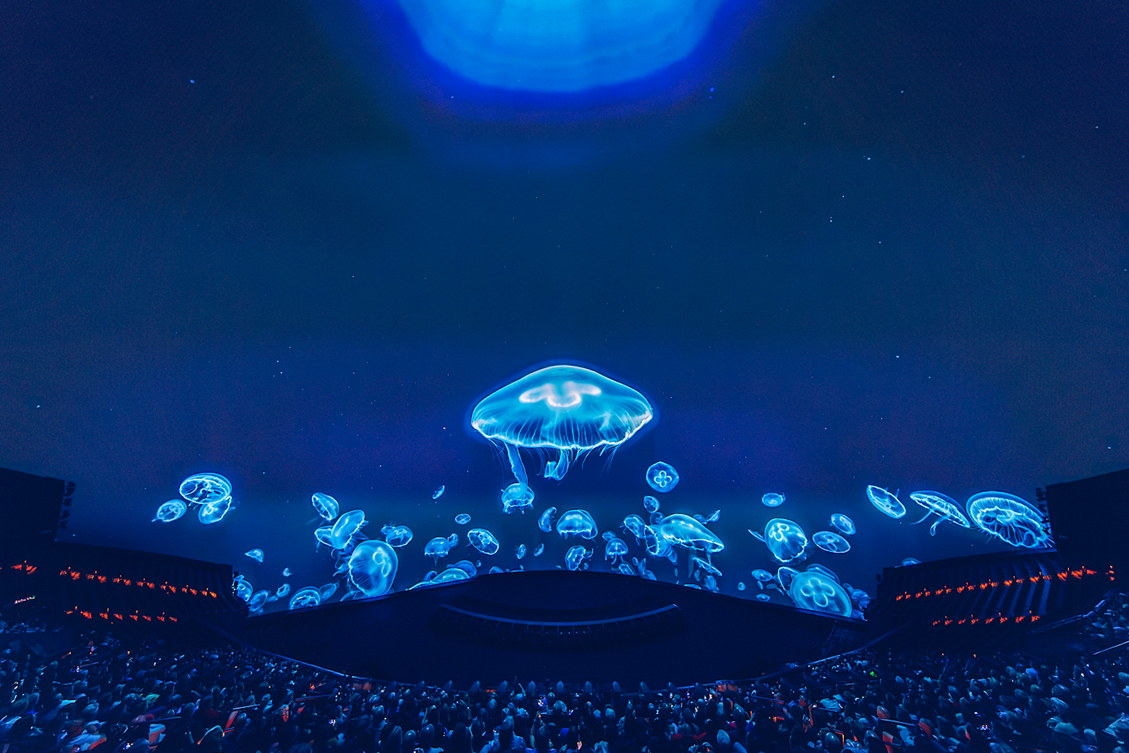 Jellyfish display at Sphere show in Las Vegas.
