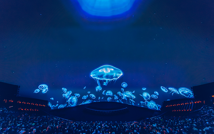 Jellyfish display at Sphere show in Las Vegas.