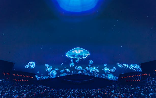 Jellyfish display at Sphere show in Las Vegas.