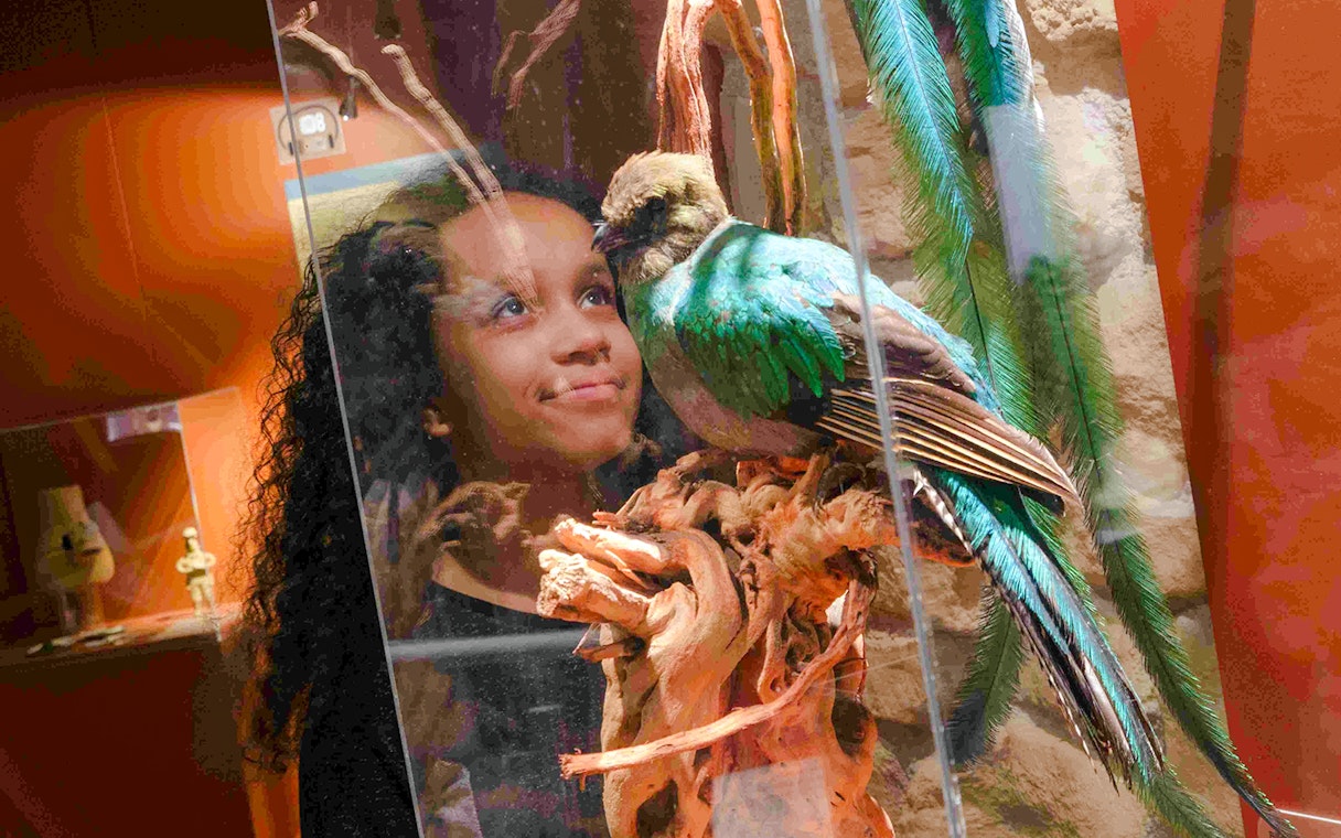 Girl observing colorful bird artifact at Choco-Story Paris museum.