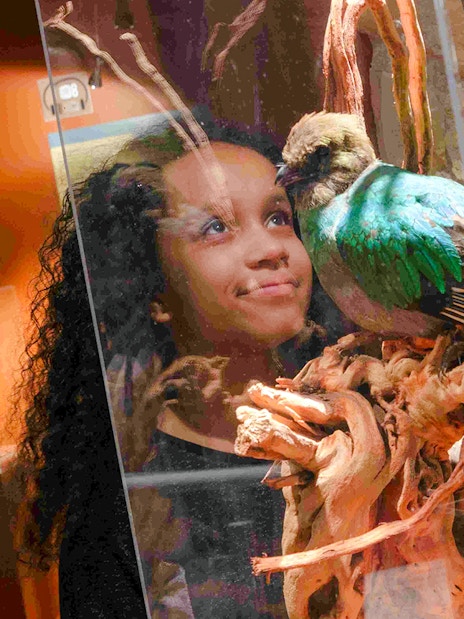 Girl observing colorful bird artifact at Choco-Story Paris museum.