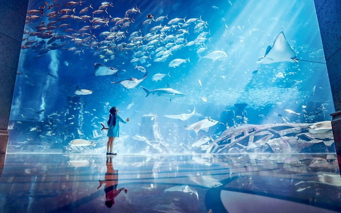 Kids observing marine life at Ambassador Lagoon Aquarium.