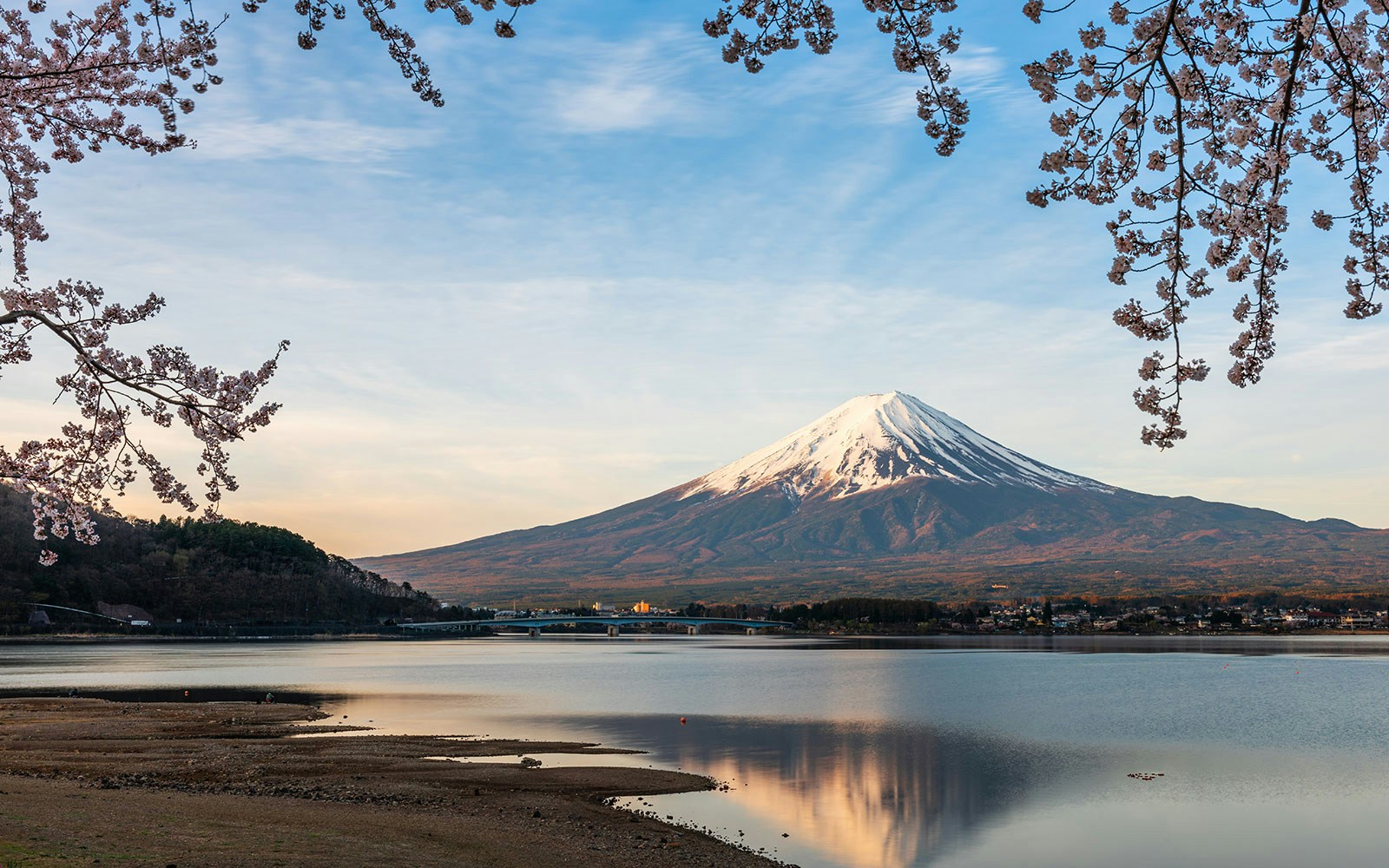 Mt. Fuji reflected on Lake Kawaguchi, Japan, with cherry blossoms in the foreground.