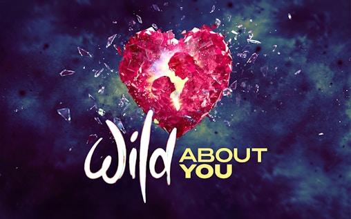 Wild About You