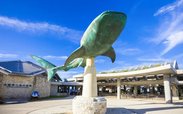 Churaumi Aquarium After 5 Entry Ticket