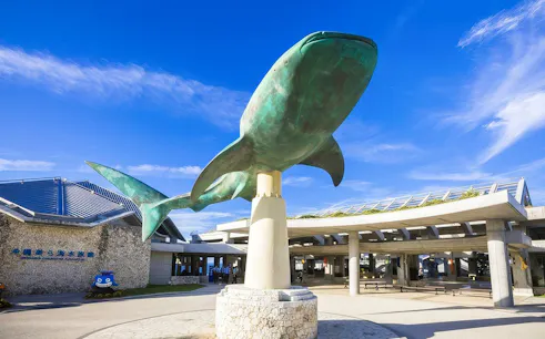 billet d'entrée à l'aquarium de churaumi après 17 h-1