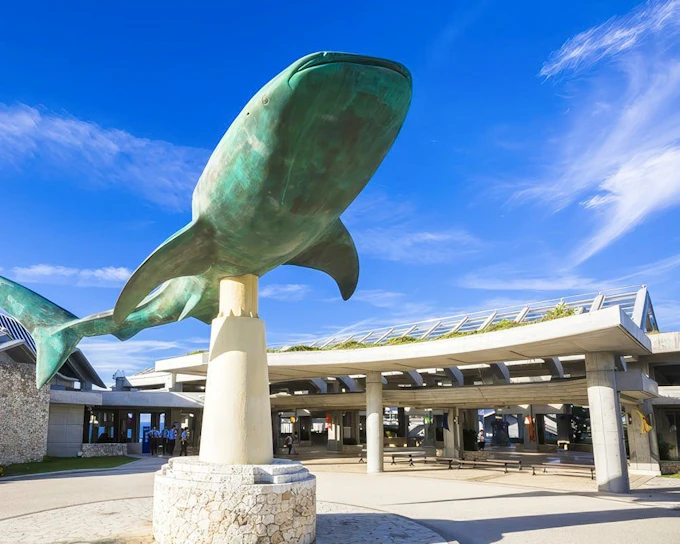 Churaumi Aquarium After 5 Entry Ticket