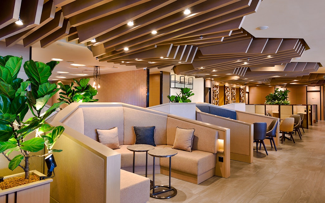 Seating area in Plaza Premium Lounge, Singapore airport with modern decor and plants.