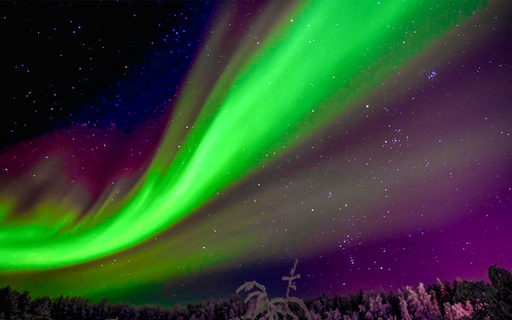 Northern Lights over snowy Rovaniemi landscape with silhouetted trees.