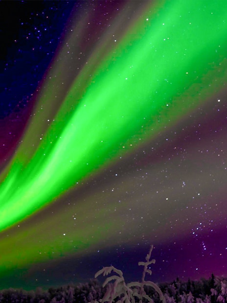 Northern Lights over snowy Rovaniemi landscape with silhouetted trees.