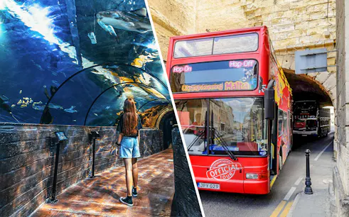 Visitor exploring underwater tunnel at Malta National Aquarium; red sightseeing bus in Malta street.