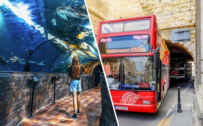 Visitor exploring underwater tunnel at Malta National Aquarium; red sightseeing bus in Malta street.