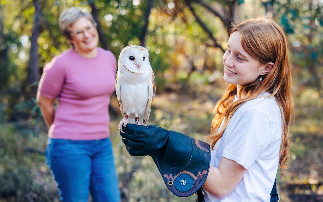 Young girl holding a barn owl at Capes Raptor Centre.