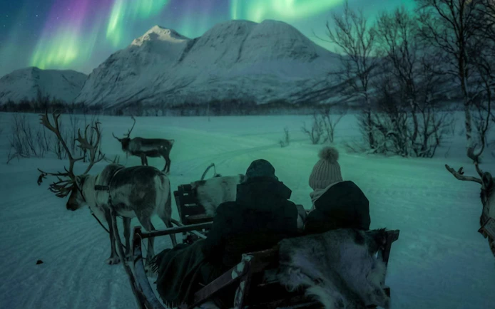 Reindeer sled ride under Northern Lights in Tromso, Lapland.