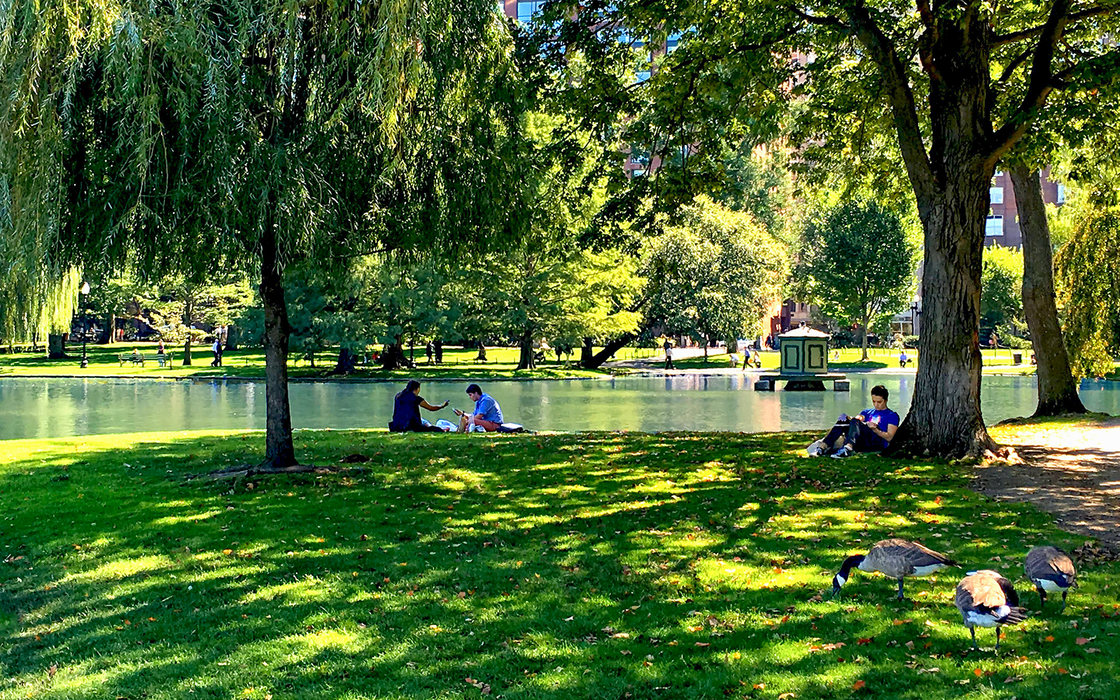 Boston Common Public Garden