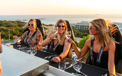 Guests toasting at Dinner in the Sky with a view of Dubrovnik coastline.