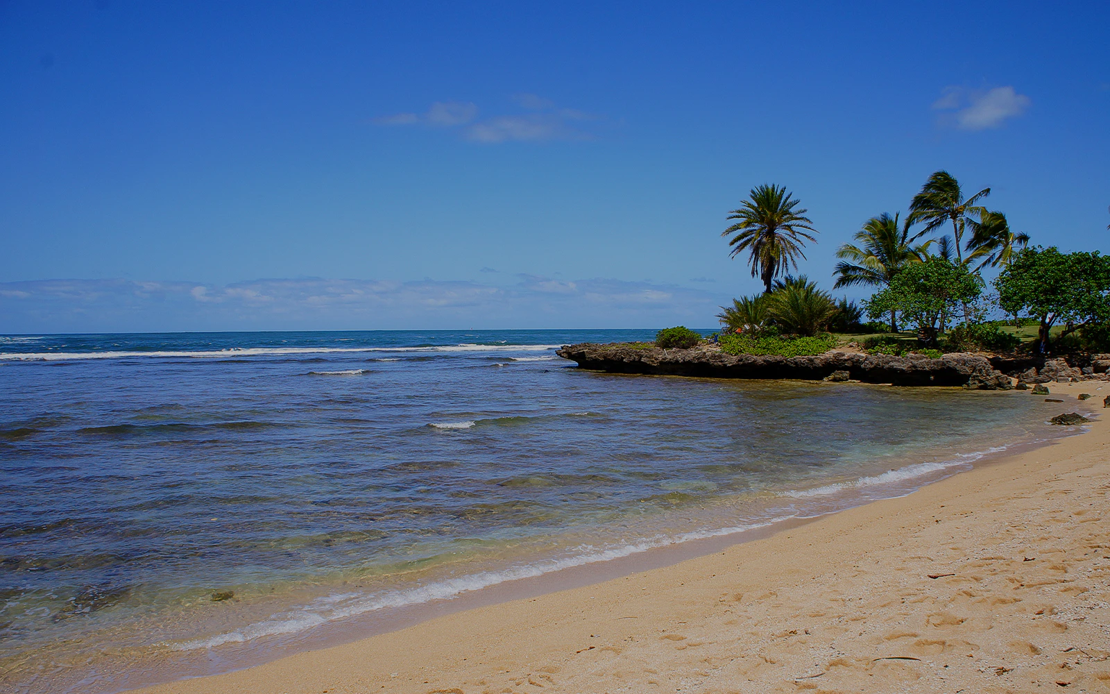 Landscape of north shore in honolulu, hawaii