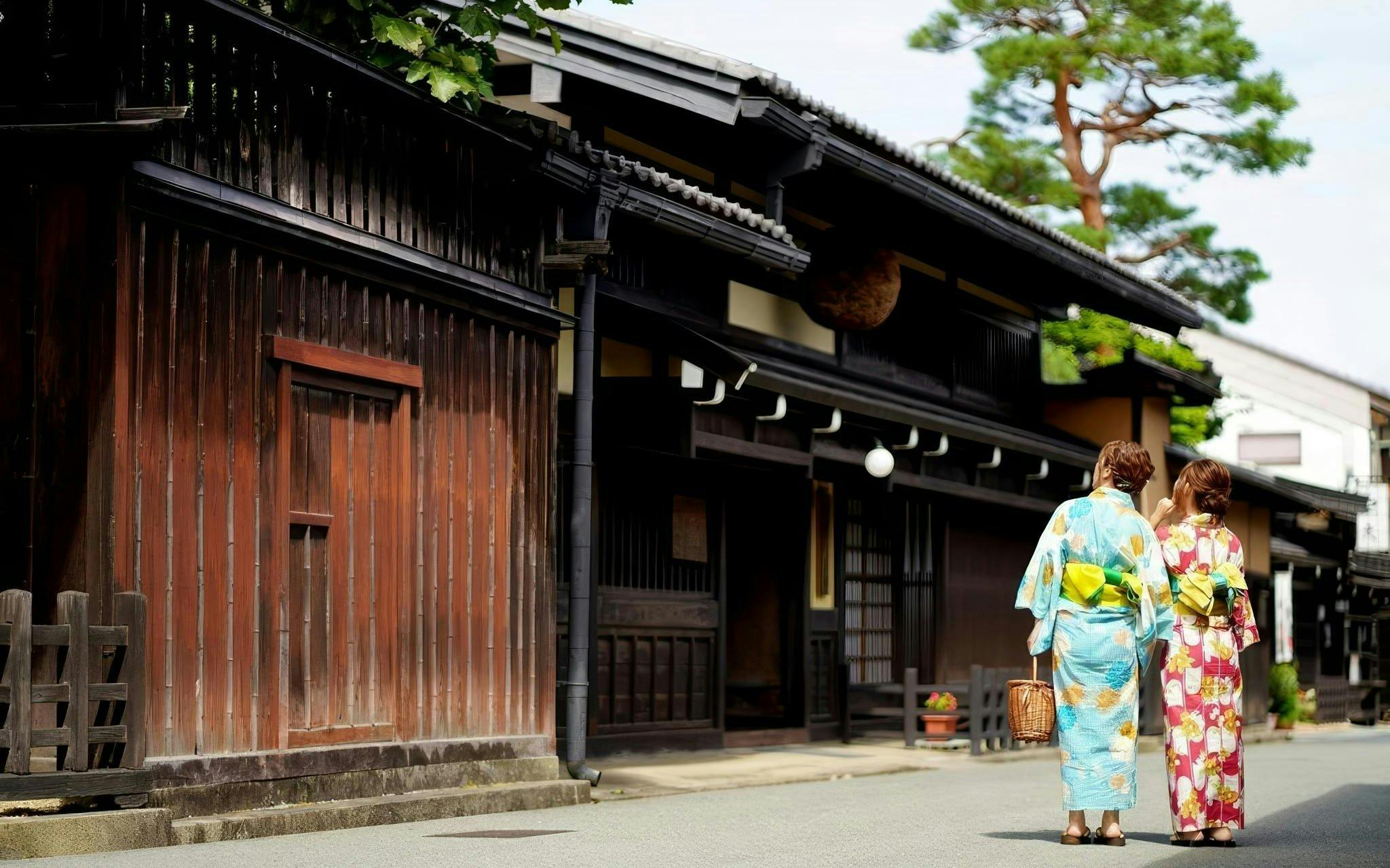 da nagoya: tour in giornata a shirakawa-go e hida takayama-5