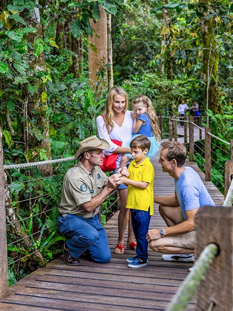 Guide explaining rainforest plants to family on Kuranda tour, Cairns.