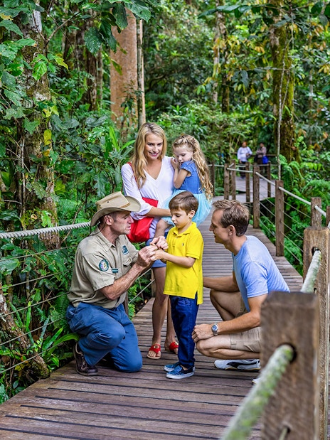 Guide explaining rainforest plants to family on Kuranda tour, Cairns.