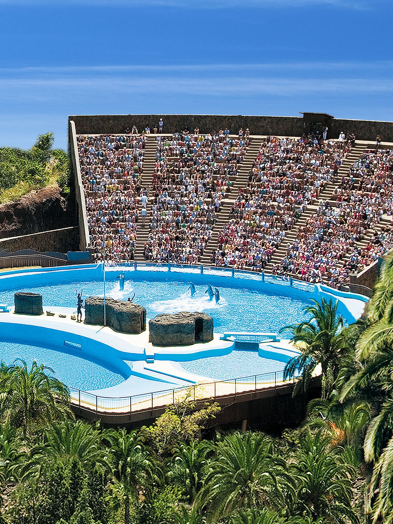 Dolphin show at Palmitos Park amphitheater, Spain, with audience watching.