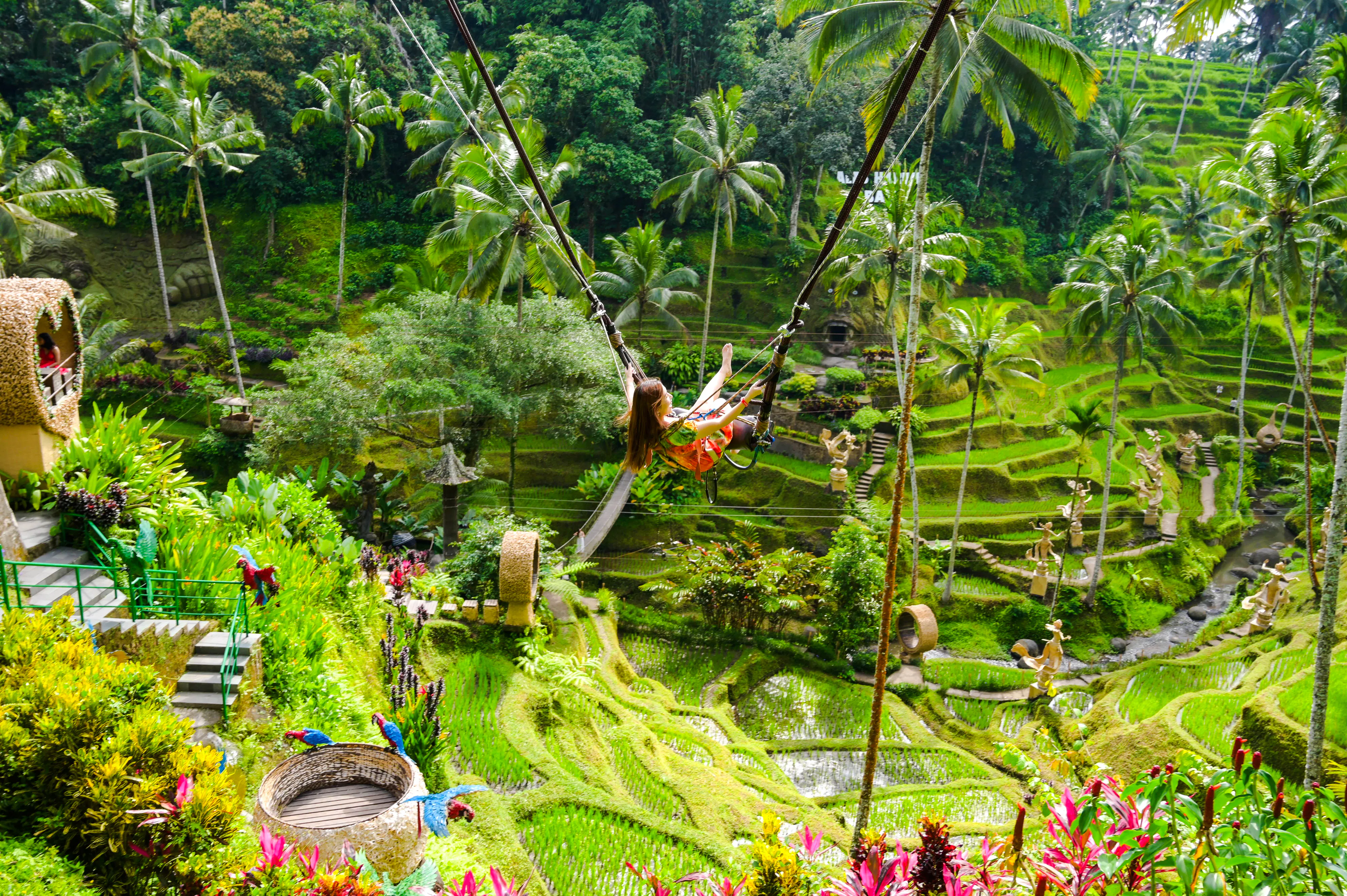 Ubud Highlights Private Tour with Entry Fees Included: Monkey Forest, Tirta Empul, Waterfall & Rice Terrace