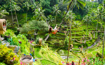 soukromý výlet po zajímavostech ubudu se zahrnutými vstupními poplatky: opičí prales, tirta empul, vodopád a rýžové terasy-7