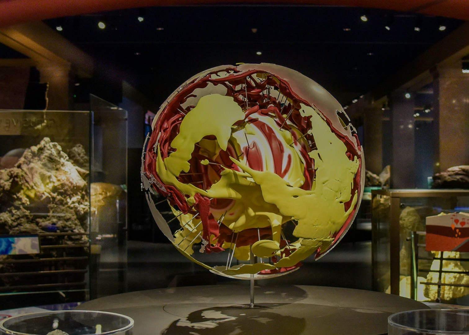 American Museum of Natural History