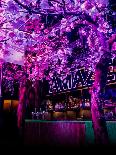 Amaze Amsterdam bar with neon lights and floral decor.