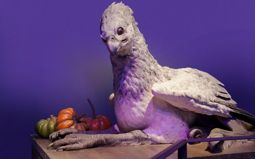 Buckbeak model at Warner Bros Studio London with pumpkins nearby.
