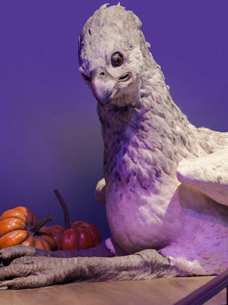 Buckbeak model at Warner Bros Studio London with pumpkins nearby.