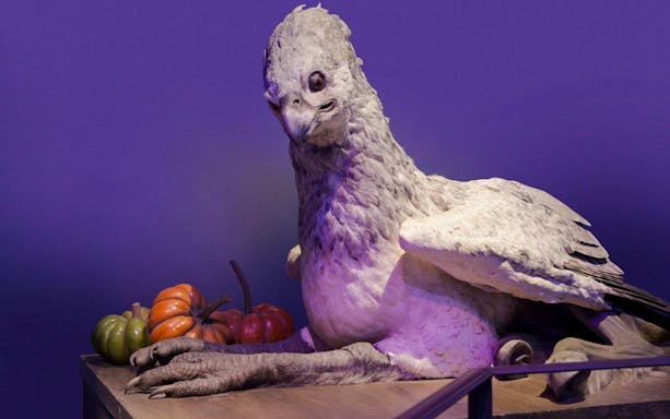 Buckbeak model at Warner Bros Studio London with pumpkins nearby.