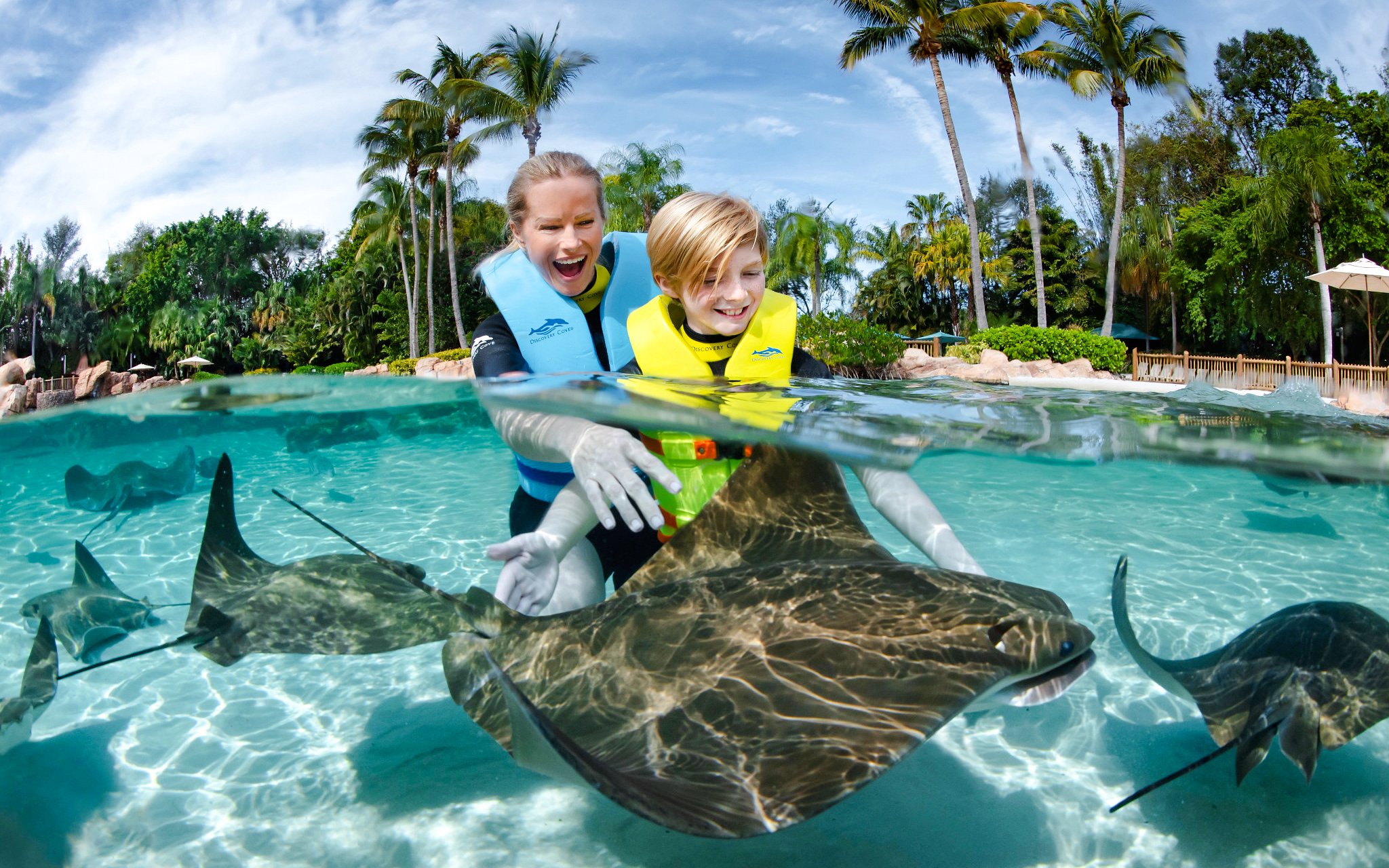 Children interacting with stingrays at Discovery Cove Orlando.