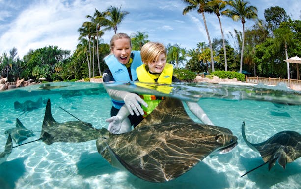 Children interacting with stingrays at Discovery Cove Orlando.