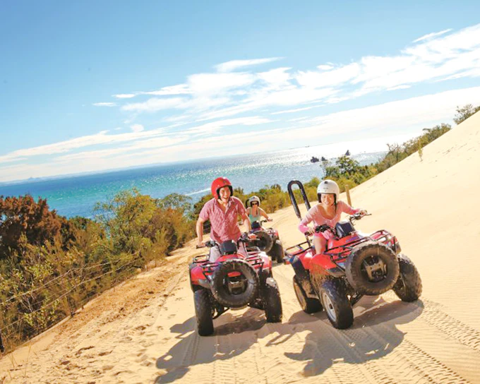 Moreton Island: Tangalooma Resort Cruise with Quad Bike Tour and Dolphin Feeding