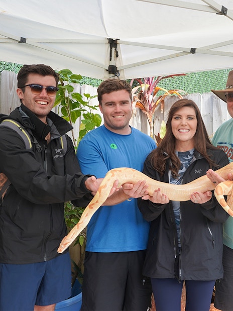 Group holding a large snake during Holiday Park animal encounter experience.