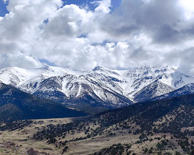 From Samarkand: Zaamin National Park Tour